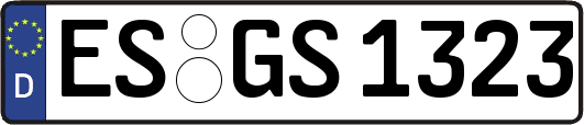 ES-GS1323