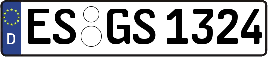 ES-GS1324