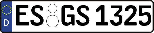 ES-GS1325
