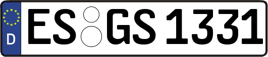 ES-GS1331