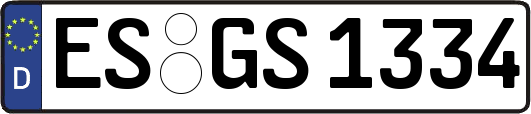 ES-GS1334