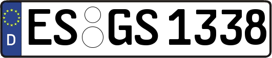 ES-GS1338