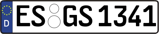 ES-GS1341