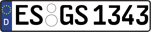 ES-GS1343