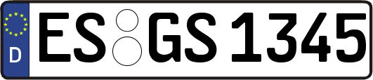 ES-GS1345