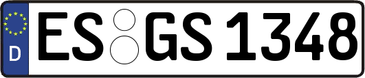 ES-GS1348