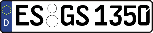 ES-GS1350