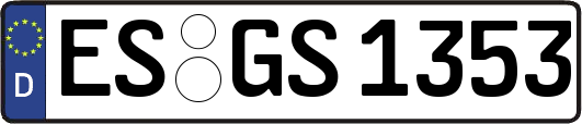 ES-GS1353