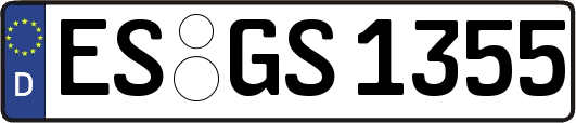 ES-GS1355