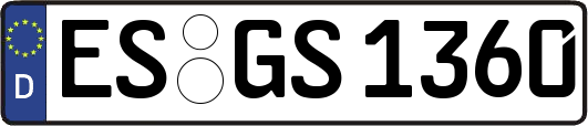 ES-GS1360