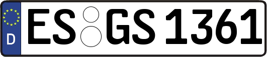 ES-GS1361