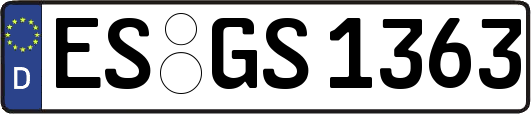 ES-GS1363