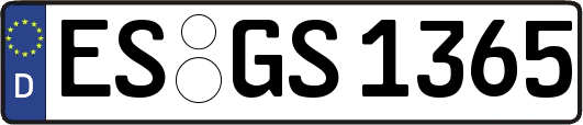 ES-GS1365
