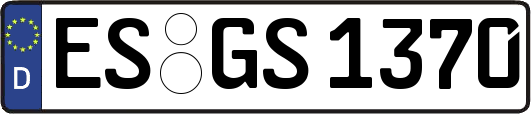 ES-GS1370