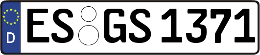 ES-GS1371