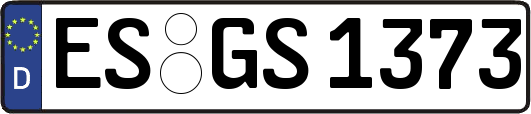 ES-GS1373