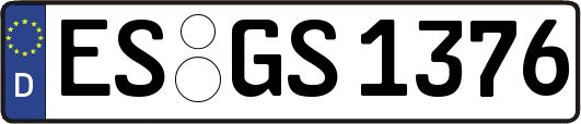 ES-GS1376
