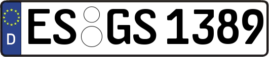 ES-GS1389