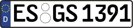 ES-GS1391