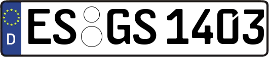 ES-GS1403