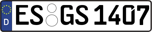 ES-GS1407