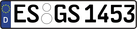 ES-GS1453