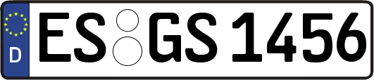 ES-GS1456