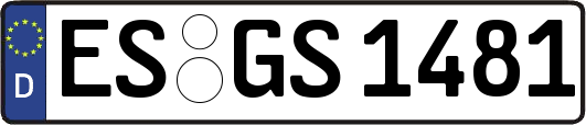 ES-GS1481