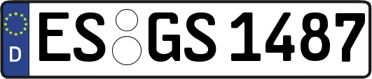 ES-GS1487