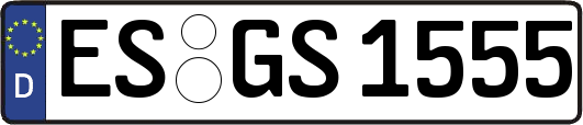 ES-GS1555