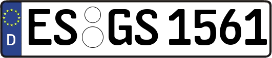 ES-GS1561