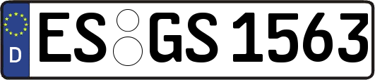 ES-GS1563