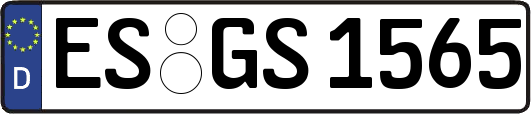 ES-GS1565