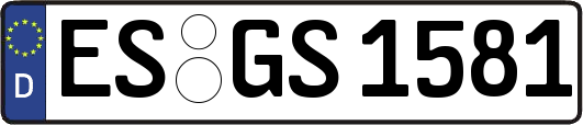 ES-GS1581