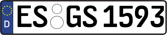 ES-GS1593