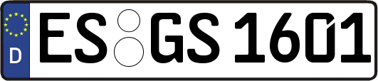 ES-GS1601