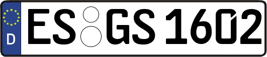 ES-GS1602