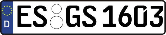 ES-GS1603
