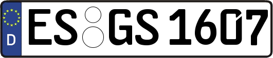 ES-GS1607