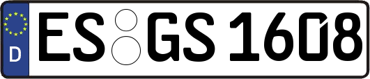 ES-GS1608