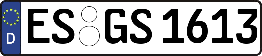 ES-GS1613