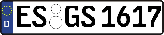 ES-GS1617