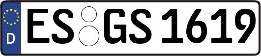 ES-GS1619