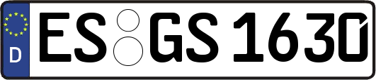 ES-GS1630