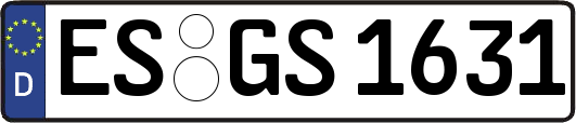 ES-GS1631