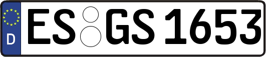 ES-GS1653