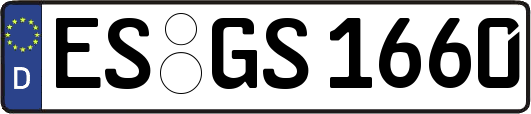 ES-GS1660