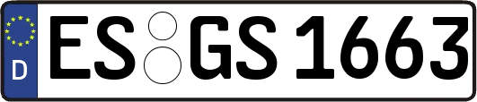 ES-GS1663