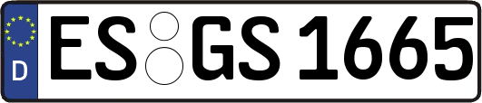 ES-GS1665