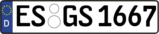 ES-GS1667